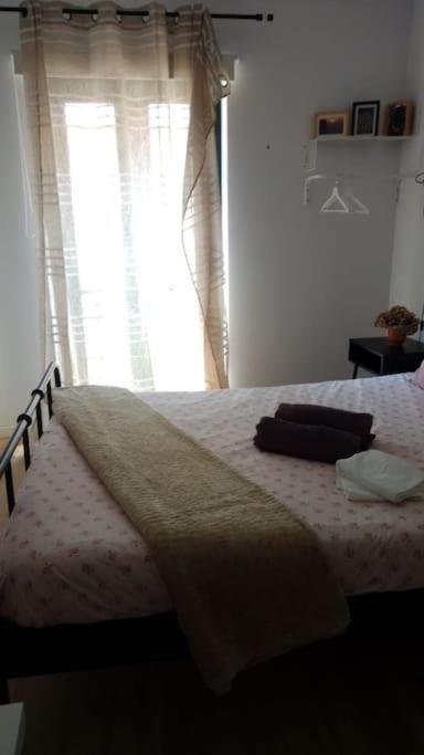 Gran Apartamento En Centro Historico De Santiago Santiago de Compostela Exteriör bild